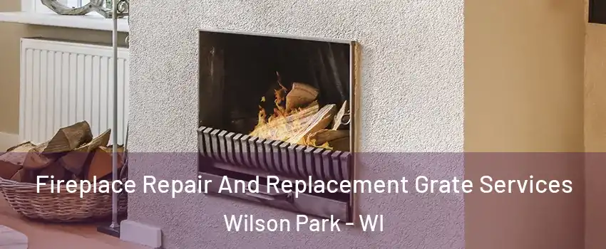 Fireplace Repair And Replacement Grate Services Wilson Park - WI