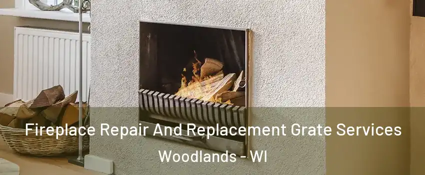 Fireplace Repair And Replacement Grate Services Woodlands - WI