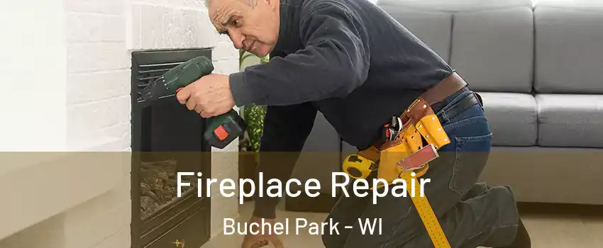 Fireplace Repair Buchel Park - WI