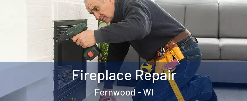 Fireplace Repair Fernwood - WI