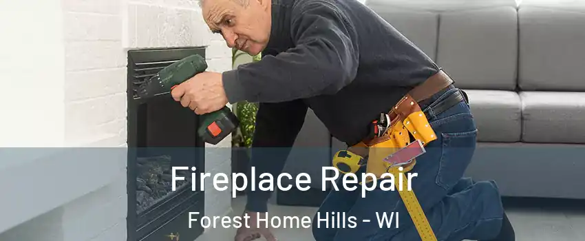 Fireplace Repair Forest Home Hills - WI