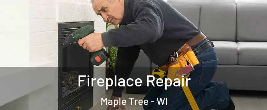 Fireplace Repair Maple Tree - WI