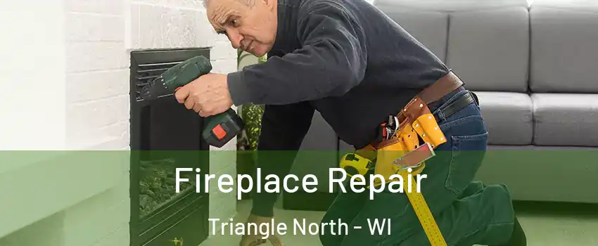 Fireplace Repair Triangle North - WI