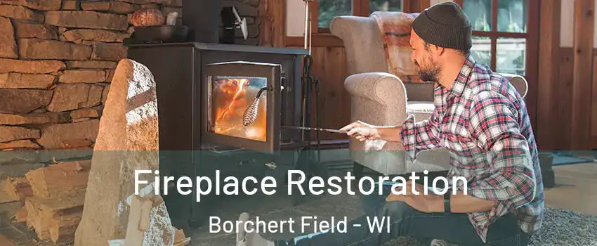 Fireplace Restoration Borchert Field - WI