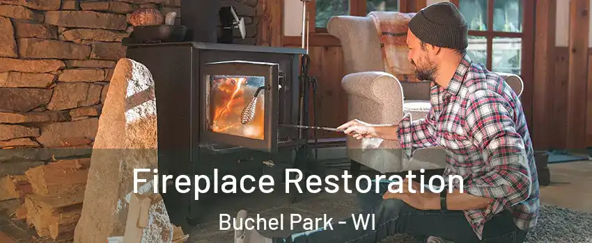 Fireplace Restoration Buchel Park - WI