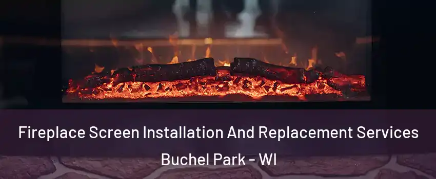 Fireplace Screen Installation And Replacement Services Buchel Park - WI