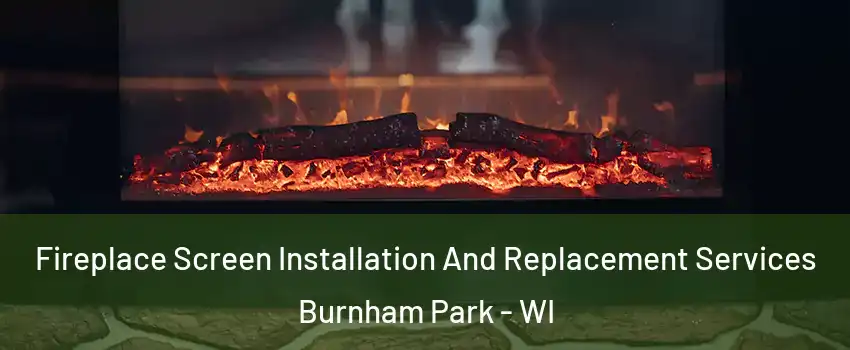 Fireplace Screen Installation And Replacement Services Burnham Park - WI