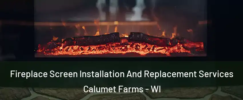 Fireplace Screen Installation And Replacement Services Calumet Farms - WI