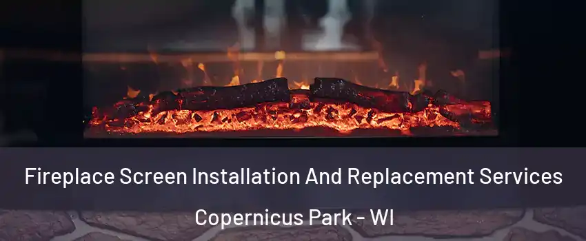 Fireplace Screen Installation And Replacement Services Copernicus Park - WI