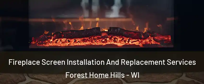 Fireplace Screen Installation And Replacement Services Forest Home Hills - WI