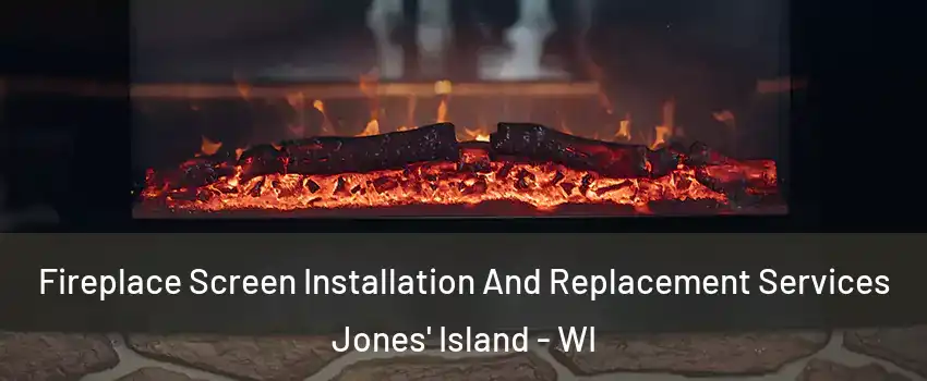 Fireplace Screen Installation And Replacement Services Jones' Island - WI