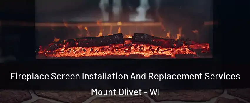 Fireplace Screen Installation And Replacement Services Mount Olivet - WI