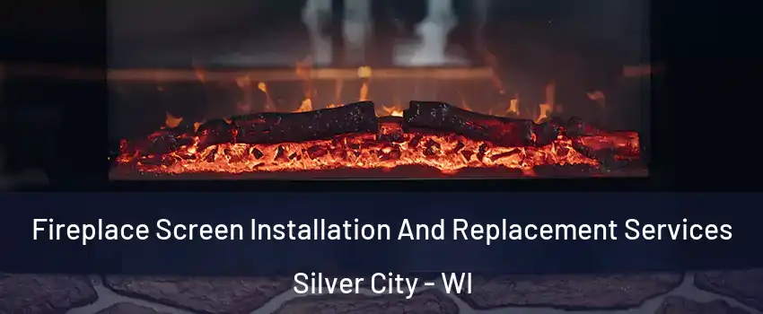 Fireplace Screen Installation And Replacement Services Silver City - WI