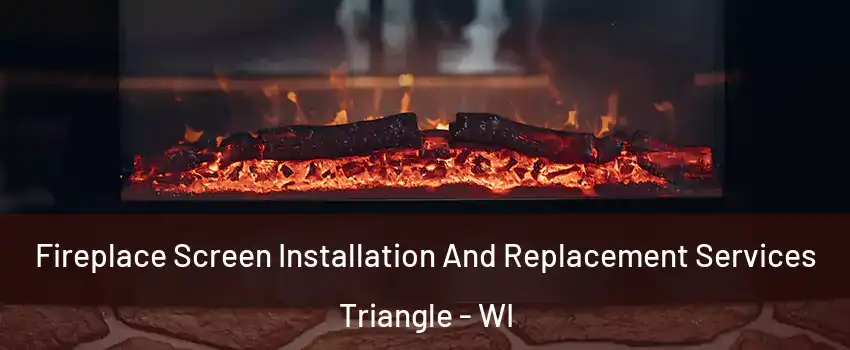 Fireplace Screen Installation And Replacement Services Triangle - WI