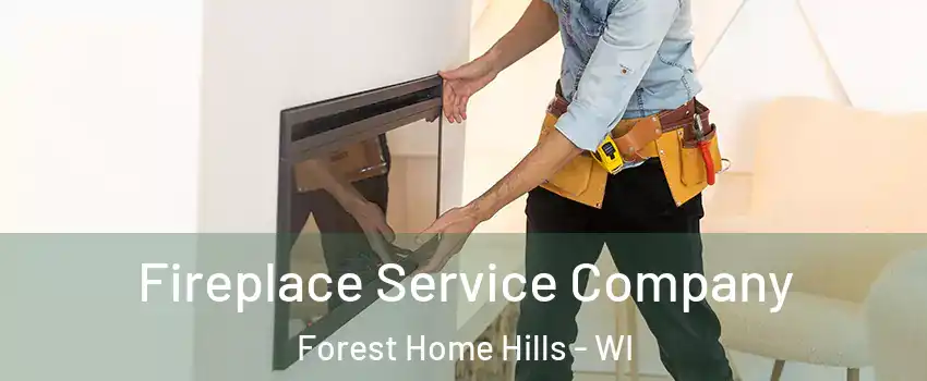 Fireplace Service Company Forest Home Hills - WI