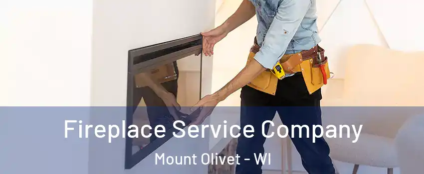 Fireplace Service Company Mount Olivet - WI