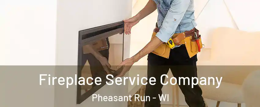 Fireplace Service Company Pheasant Run - WI