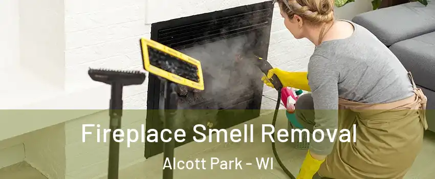 Fireplace Smell Removal Alcott Park - WI