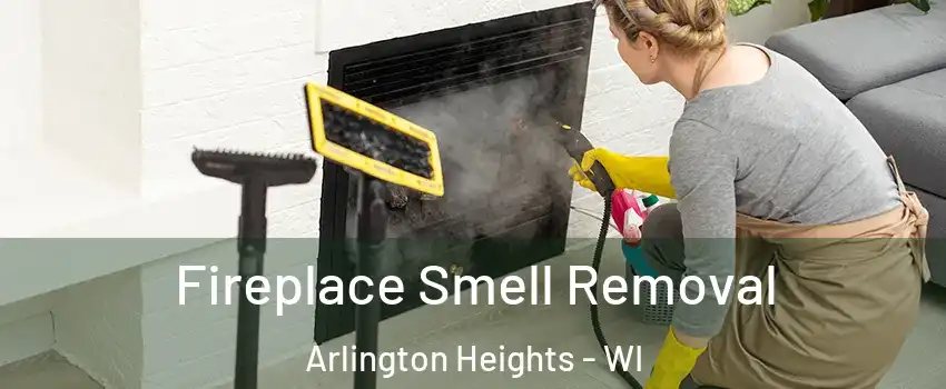 Fireplace Smell Removal Arlington Heights - WI