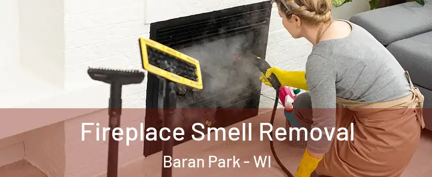 Fireplace Smell Removal Baran Park - WI