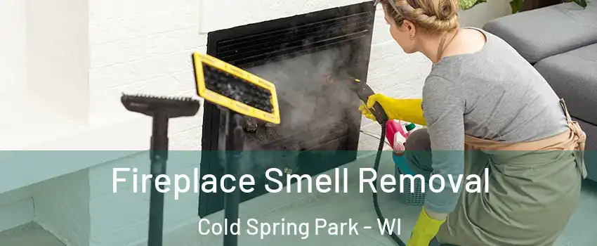 Fireplace Smell Removal Cold Spring Park - WI