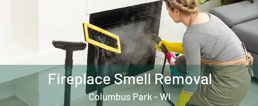 Fireplace Smell Removal Columbus Park - WI