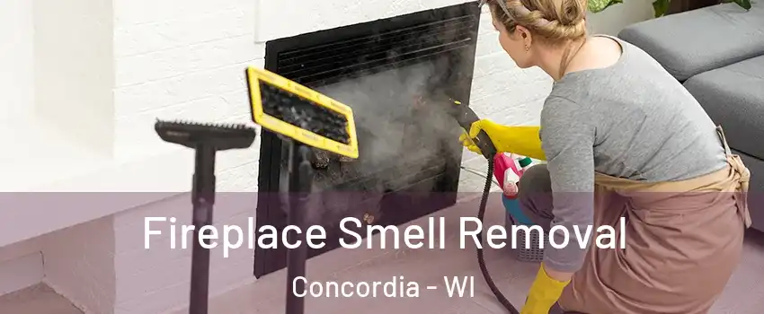 Fireplace Smell Removal Concordia - WI