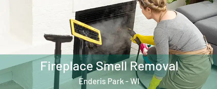 Fireplace Smell Removal Enderis Park - WI