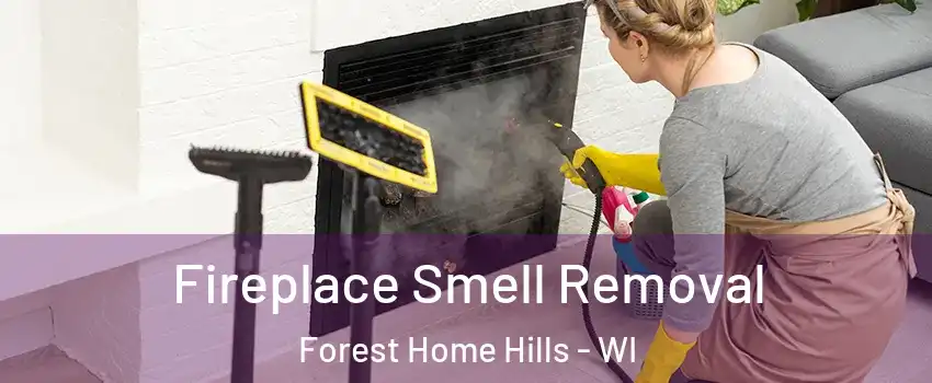 Fireplace Smell Removal Forest Home Hills - WI