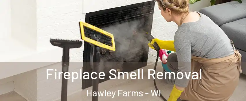 Fireplace Smell Removal Hawley Farms - WI