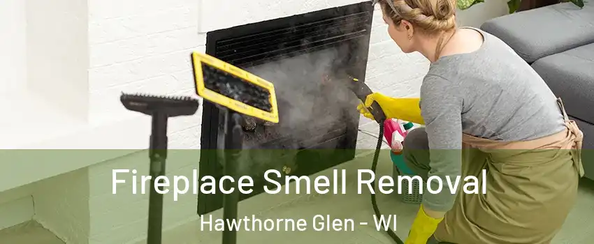 Fireplace Smell Removal Hawthorne Glen - WI