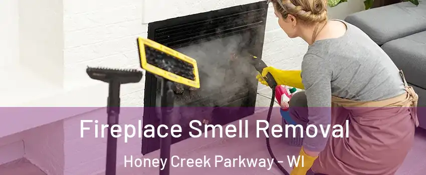 Fireplace Smell Removal Honey Creek Parkway - WI