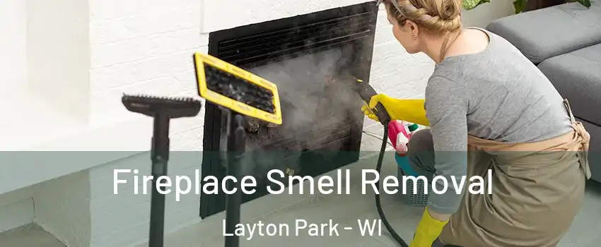 Fireplace Smell Removal Layton Park - WI