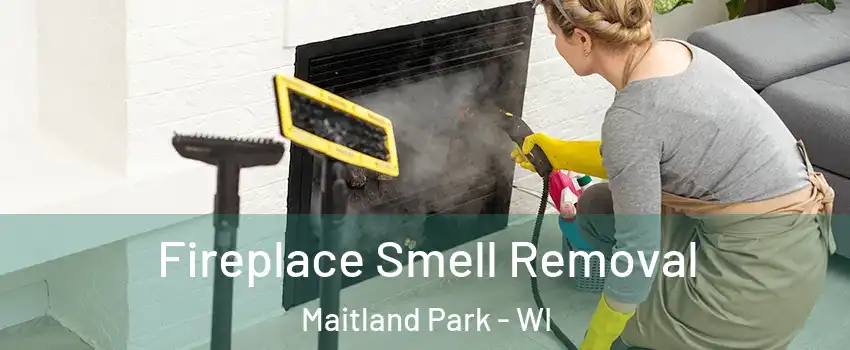 Fireplace Smell Removal Maitland Park - WI