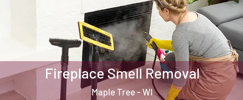 Fireplace Smell Removal Maple Tree - WI