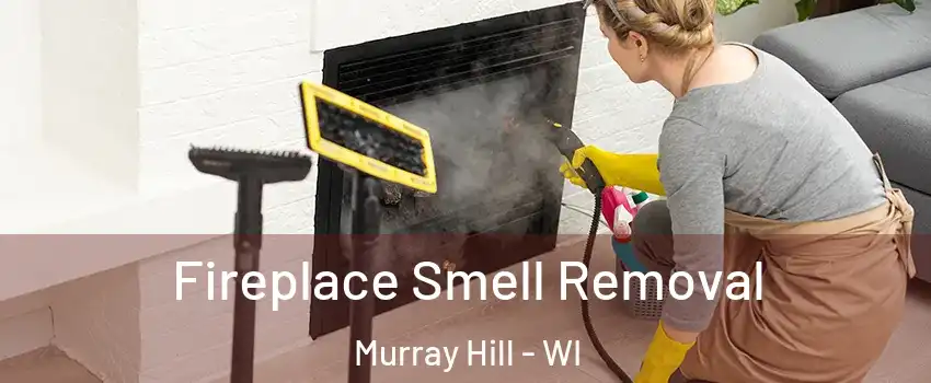 Fireplace Smell Removal Murray Hill - WI