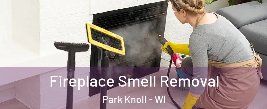 Fireplace Smell Removal Park Knoll - WI