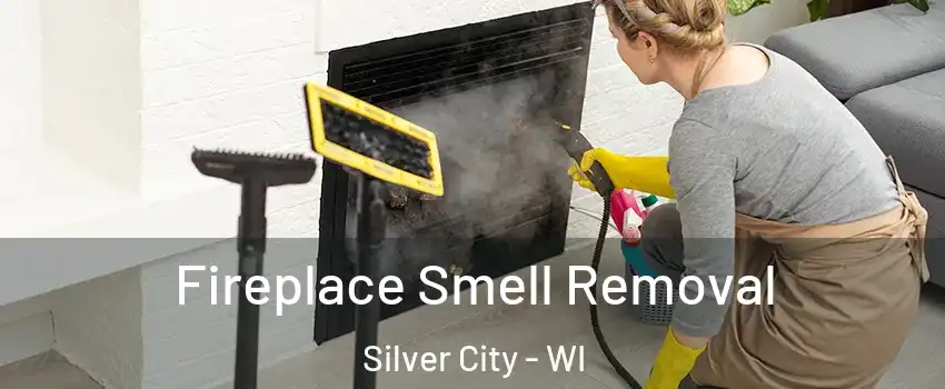 Fireplace Smell Removal Silver City - WI