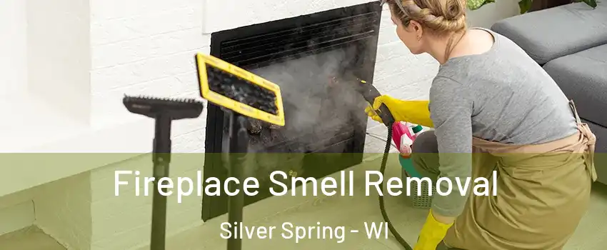 Fireplace Smell Removal Silver Spring - WI