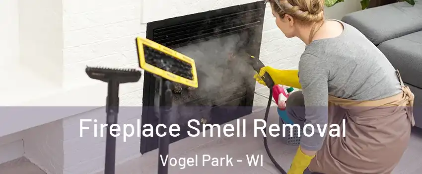 Fireplace Smell Removal Vogel Park - WI