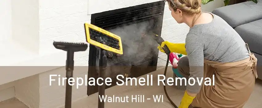 Fireplace Smell Removal Walnut Hill - WI