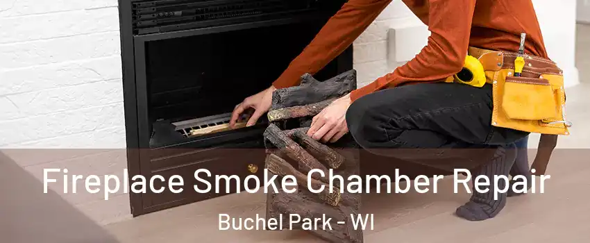 Fireplace Smoke Chamber Repair Buchel Park - WI