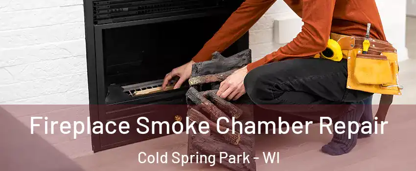 Fireplace Smoke Chamber Repair Cold Spring Park - WI