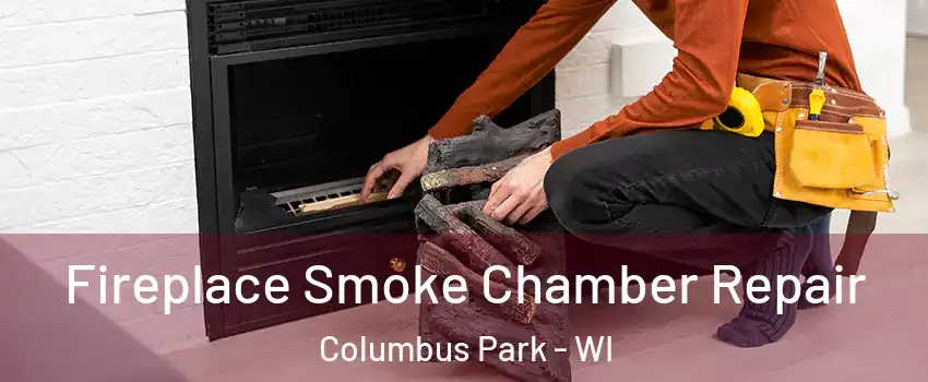 Fireplace Smoke Chamber Repair Columbus Park - WI