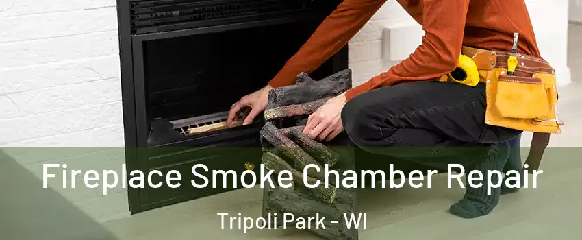 Fireplace Smoke Chamber Repair Tripoli Park - WI