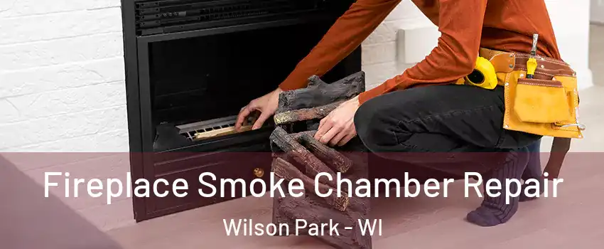 Fireplace Smoke Chamber Repair Wilson Park - WI