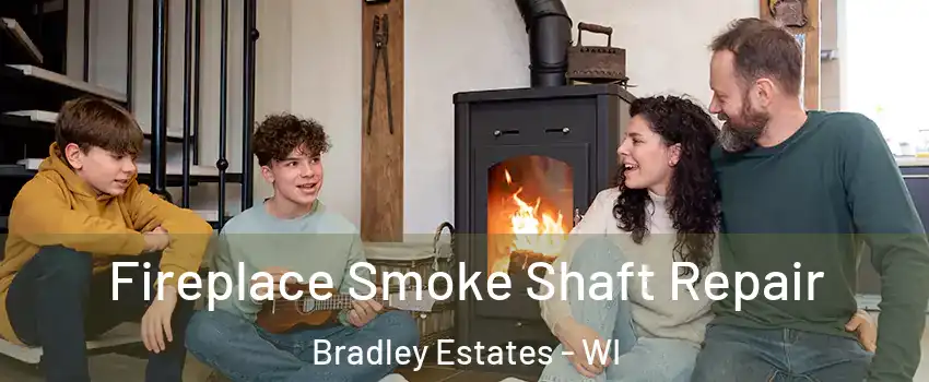 Fireplace Smoke Shaft Repair Bradley Estates - WI