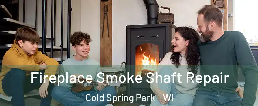 Fireplace Smoke Shaft Repair Cold Spring Park - WI