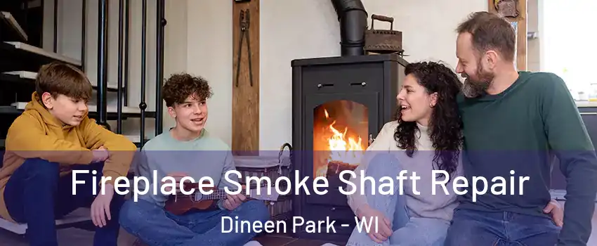 Fireplace Smoke Shaft Repair Dineen Park - WI