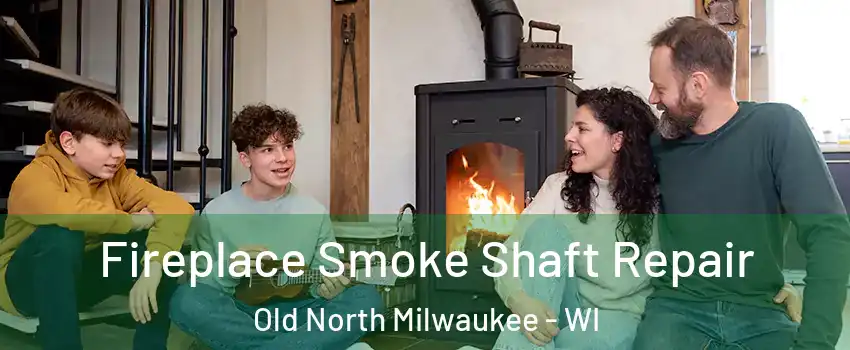 Fireplace Smoke Shaft Repair Old North Milwaukee - WI